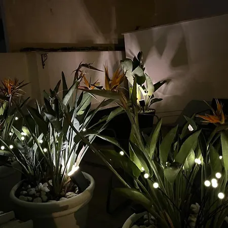 Il Civico 2 Отель типа 