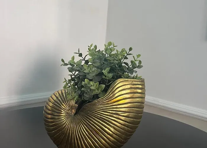 Il Civico 2 باري