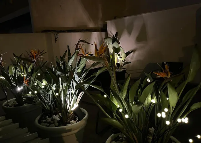 Il Civico 2 فندق مبيت وإفطار 3*