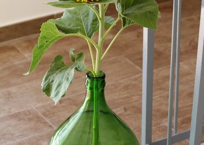 فندق مبيت وإفطار Il Civico 2 باري