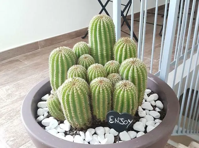 فندق مبيت وإفطار Il Civico 2 باري